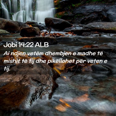 Picture 02 - Jobi 14:22 ALB - Ai ndjen vetëm dhembjen e madhe të mishit të - Bible Verse Picture