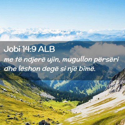 Picture 02 - Jobi 14:9 ALB - me të ndjerë ujin, mugullon përsëri dhe - Bible Verse Picture