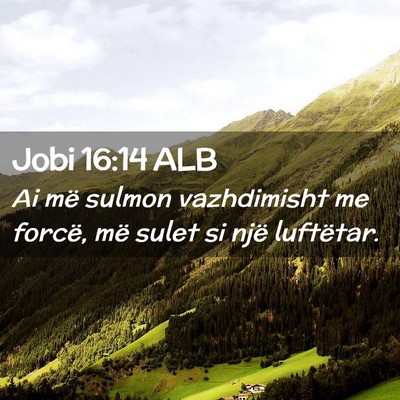 Picture 02 - Jobi 16:14 ALB - Ai më sulmon vazhdimisht me forcë, më sulet si - Bible Verse Picture