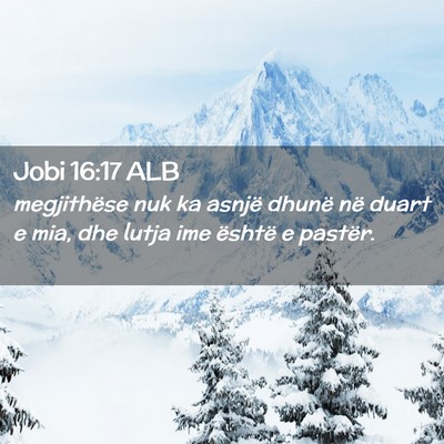 Picture 02 - Jobi 16:17 ALB - megjithëse nuk ka asnjë dhunë në duart e mia, - Bible Verse Picture