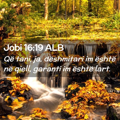 Picture 02 - Jobi 16:19 ALB - Që tani, ja, dëshmitari im është në qiell, - Bible Verse Picture
