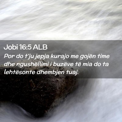 Picture 02 - Jobi 16:5 ALB - Por do t’ju jepja kurajo me gojën time dhe - Bible Verse Picture