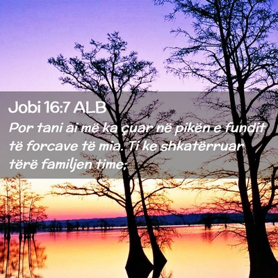 Picture 02 - Jobi 16:7 ALB - Por tani ai më ka çuar në pikën e fundit të - Bible Verse Picture