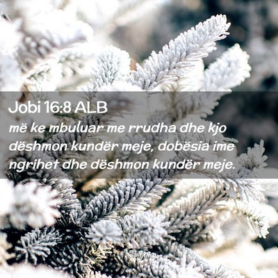 Picture 02 - Jobi 16:8 ALB - më ke mbuluar me rrudha dhe kjo dëshmon kundër - Bible Verse Picture