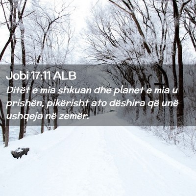 Picture 02 - Jobi 17:11 ALB - Ditët e mia shkuan dhe planet e mia u prishën, - Bible Verse Picture