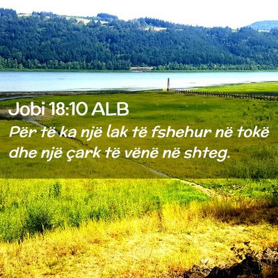 Picture 02 - Jobi 18:10 ALB - Për të ka një lak të fshehur në tokë dhe - Bible Verse Picture