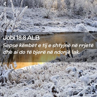 Picture 02 - Jobi 18:8 ALB - Sepse këmbët e tij e shtyjnë në rrjetë dhe - Bible Verse Picture