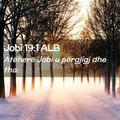 Picture 02 - Jobi 19:1 ALB - Atëherë Jobi u përgjigj dhe - Bible Verse Picture