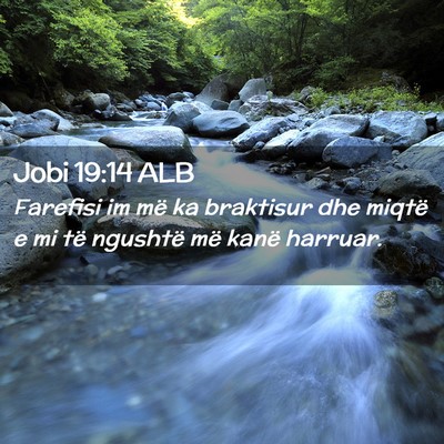 Picture 02 - Jobi 19:14 ALB - Farefisi im më ka braktisur dhe miqtë e mi të - Bible Verse Picture