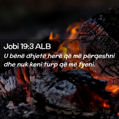 Picture 02 - Jobi 19:3 ALB - U bënë dhjetë herë që më përqeshni dhe nuk - Bible Verse Picture