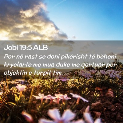 Picture 02 - Jobi 19:5 ALB - Por në rast se doni pikërisht të bëheni - Bible Verse Picture