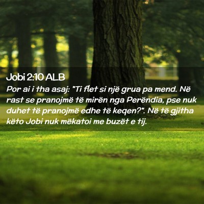 Picture 02 - Jobi 2:10 ALB - Por ai i tha asaj: 