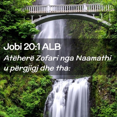 Picture 02 - Jobi 20:1 ALB - Atëherë Zofari nga Naamathi u përgjigj dhe - Bible Verse Picture