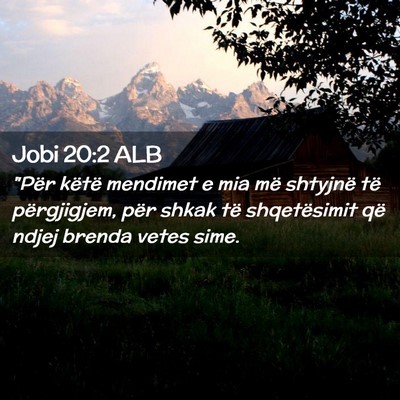 Picture 02 - Jobi 20:2 ALB - 