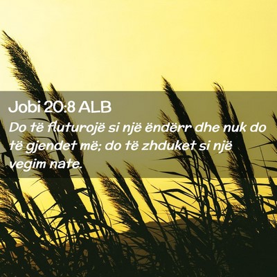 Picture 02 - Jobi 20:8 ALB - Do të fluturojë si një ëndërr dhe nuk do të - Bible Verse Picture