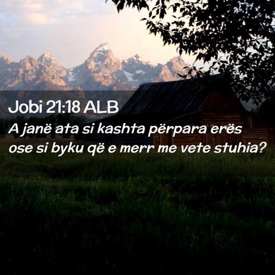 Picture 02 - Jobi 21:18 ALB - A janë ata si kashta përpara erës ose si byku - Bible Verse Picture