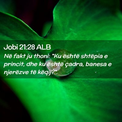 Picture 02 - Jobi 21:28 ALB - Në fakt ju thoni: 