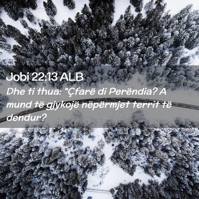 Picture 02 - Jobi 22:13 ALB - Dhe ti thua: 
