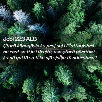 Picture 02 - Jobi 22:3 ALB - Çfarë kënaqësie ka prej saj i Plotfuqishmi, - Bible Verse Picture