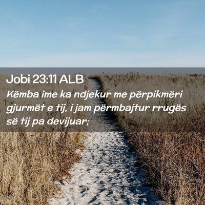 Picture 02 - Jobi 23:11 ALB - Këmba ime ka ndjekur me përpikmëri gjurmët e - Bible Verse Picture