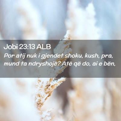 Picture 02 - Jobi 23:13 ALB - Por atij nuk i gjendet shoku, kush, pra, mund ta - Bible Verse Picture