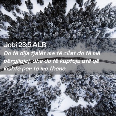 Picture 02 - Jobi 23:5 ALB - Do të dija fjalët me të cilat do të më - Bible Verse Picture