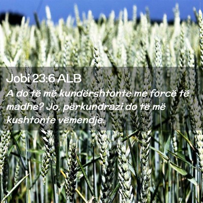 Picture 02 - Jobi 23:6 ALB - A do të më kundërshtonte me forcë të madhe? - Bible Verse Picture