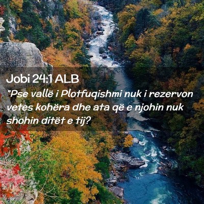 Picture 02 - Jobi 24:1 ALB - 