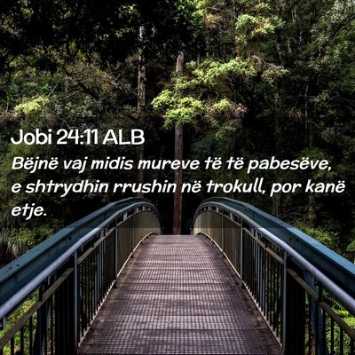 Picture 02 - Jobi 24:11 ALB - Bëjnë vaj midis mureve të të pabesëve, e - Bible Verse Picture