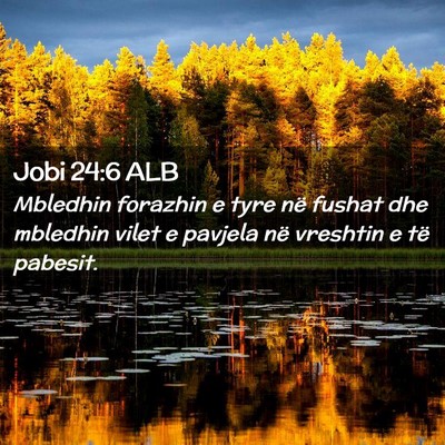 Picture 02 - Jobi 24:6 ALB - Mbledhin forazhin e tyre në fushat dhe mbledhin - Bible Verse Picture