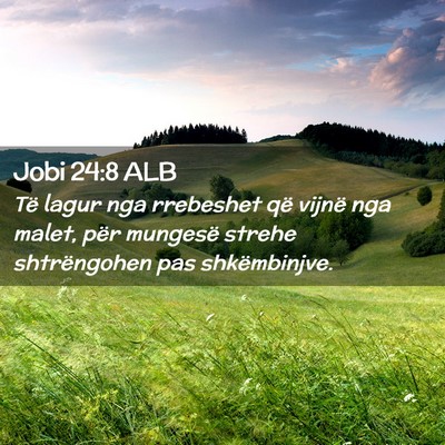 Picture 02 - Jobi 24:8 ALB - Të lagur nga rrebeshet që vijnë nga malet, - Bible Verse Picture