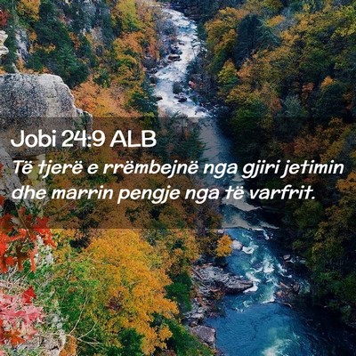 Picture 02 - Jobi 24:9 ALB - Të tjerë e rrëmbejnë nga gjiri jetimin dhe - Bible Verse Picture