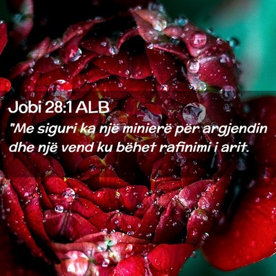 Picture 02 - Jobi 28:1 ALB - 
