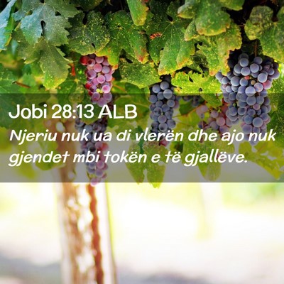 Picture 02 - Jobi 28:13 ALB - Njeriu nuk ua di vlerën dhe ajo nuk gjendet mbi - Bible Verse Picture