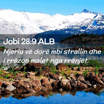 Picture 02 - Jobi 28:9 ALB - Njeriu vë dorë mbi strallin dhe i rrëzon malet - Bible Verse Picture