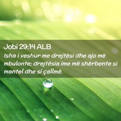 Picture 02 - Jobi 29:14 ALB - Isha i veshur me drejtësi dhe ajo më mbulonte; - Bible Verse Picture