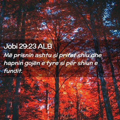 Picture 02 - Jobi 29:23 ALB - Më prisnin ashtu si pritet shiu dhe hapnin - Bible Verse Picture