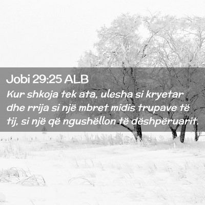 Picture 02 - Jobi 29:25 ALB - Kur shkoja tek ata, ulesha si kryetar dhe rrija - Bible Verse Picture