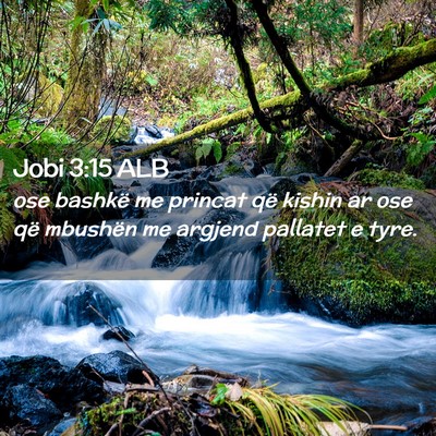 Picture 02 - Jobi 3:15 ALB - ose bashkë me princat që kishin ar ose që - Bible Verse Picture