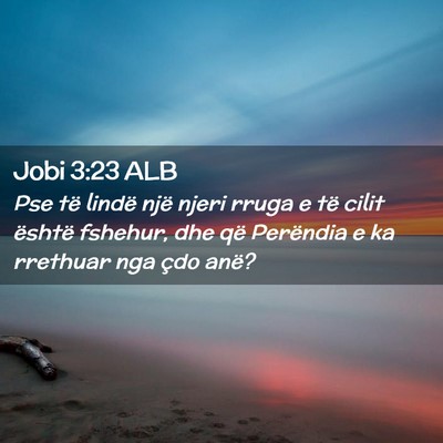 Picture 02 - Jobi 3:23 ALB - Pse të lindë një njeri rruga e të cilit - Bible Verse Picture