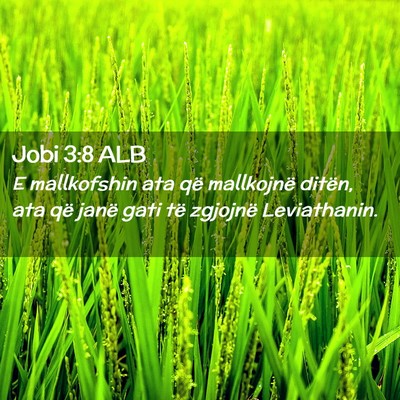 Picture 02 - Jobi 3:8 ALB - E mallkofshin ata që mallkojnë ditën, ata që - Bible Verse Picture