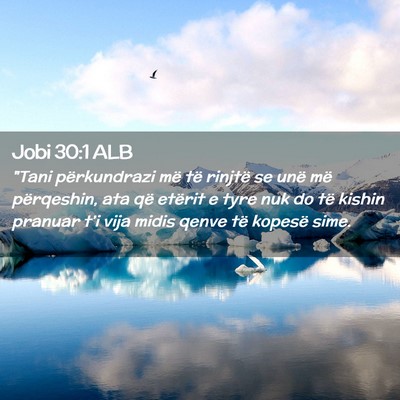 Picture 02 - Jobi 30:1 ALB - 