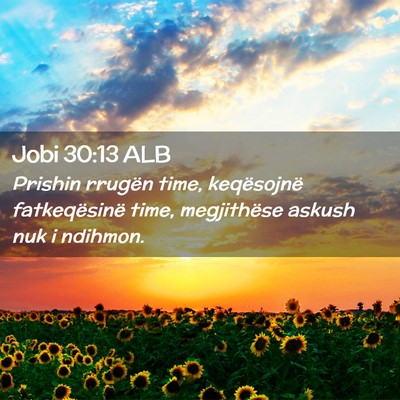 Picture 02 - Jobi 30:13 ALB - Prishin rrugën time, keqësojnë fatkeqësinë - Bible Verse Picture