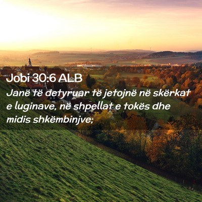 Picture 02 - Jobi 30:6 ALB - Janë të detyruar të jetojnë në skërkat e - Bible Verse Picture