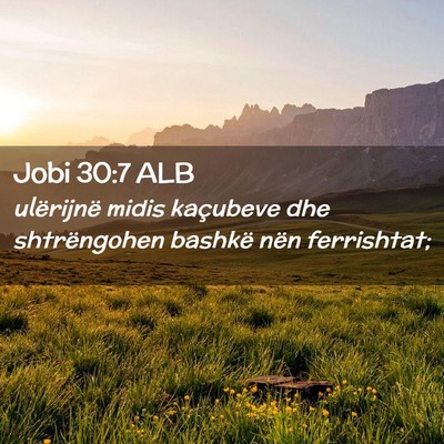 Picture 02 - Jobi 30:7 ALB - ulërijnë midis kaçubeve dhe shtrëngohen - Bible Verse Picture