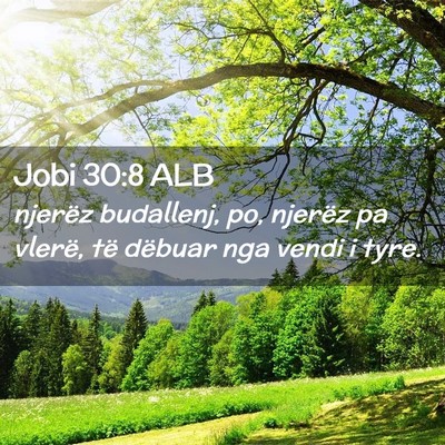 Picture 02 - Jobi 30:8 ALB - njerëz budallenj, po, njerëz pa vlerë, të - Bible Verse Picture
