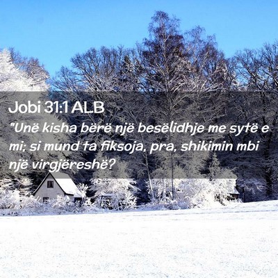 Picture 02 - Jobi 31:1 ALB - 