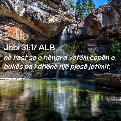 Picture 02 - Jobi 31:17 ALB - në rast se e hëngra vetëm copën e bukës pa i - Bible Verse Picture