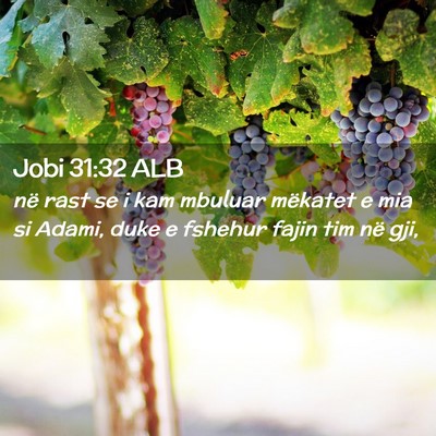 Picture 02 - Jobi 31:32 ALB - në rast se i kam mbuluar mëkatet e mia si - Bible Verse Picture