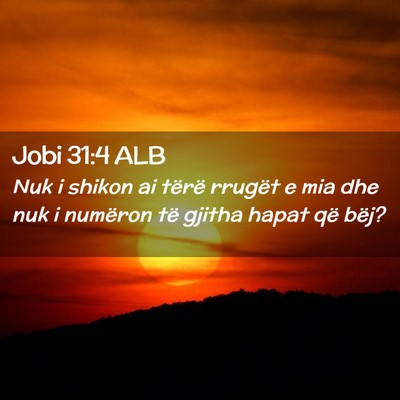 Picture 02 - Jobi 31:4 ALB - Nuk i shikon ai tërë rrugët e mia dhe nuk i - Bible Verse Picture